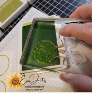 stamping lime segments with parakeet party ink