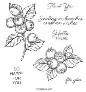 Image of the stamps that are included in the Blueberry Bushel stamp set from Stampin' Up!