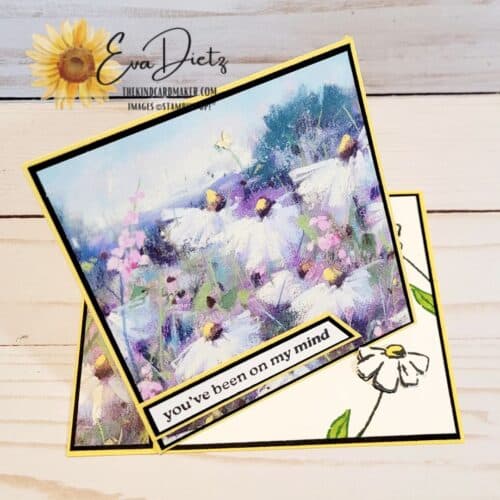 March 2024 Paper Pumpkin kit called Memorable Meadows by Stampin' Up!